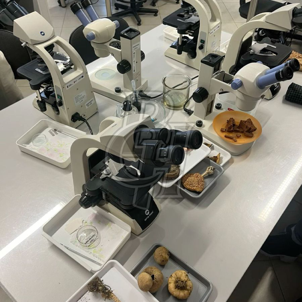 Atelier éducatif de médiation scientifique avec matériel d’observation
