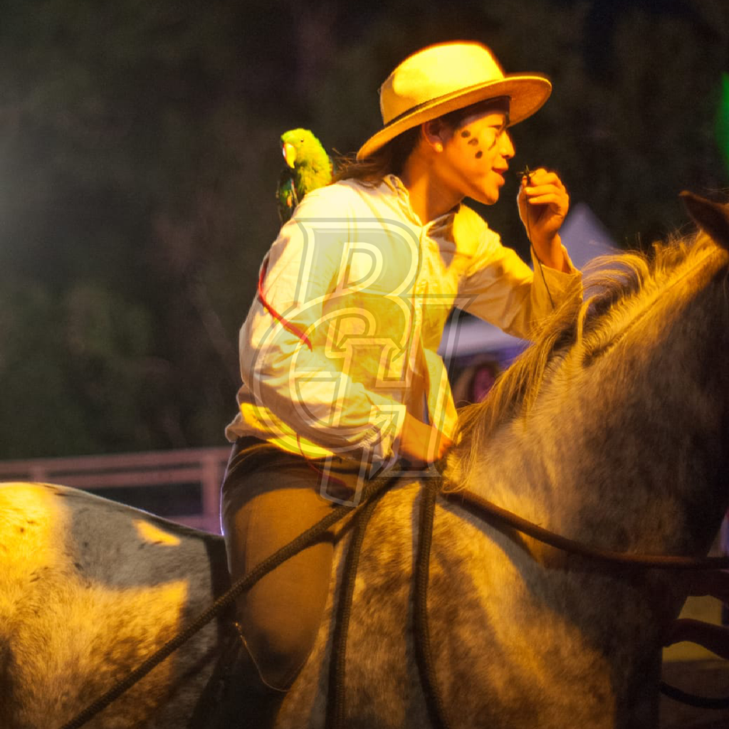 spectacle animalier avec cheval en scène