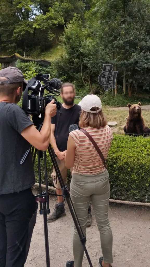 coordination de production - tournage publicité et journal télé avec un ours BCH Animals